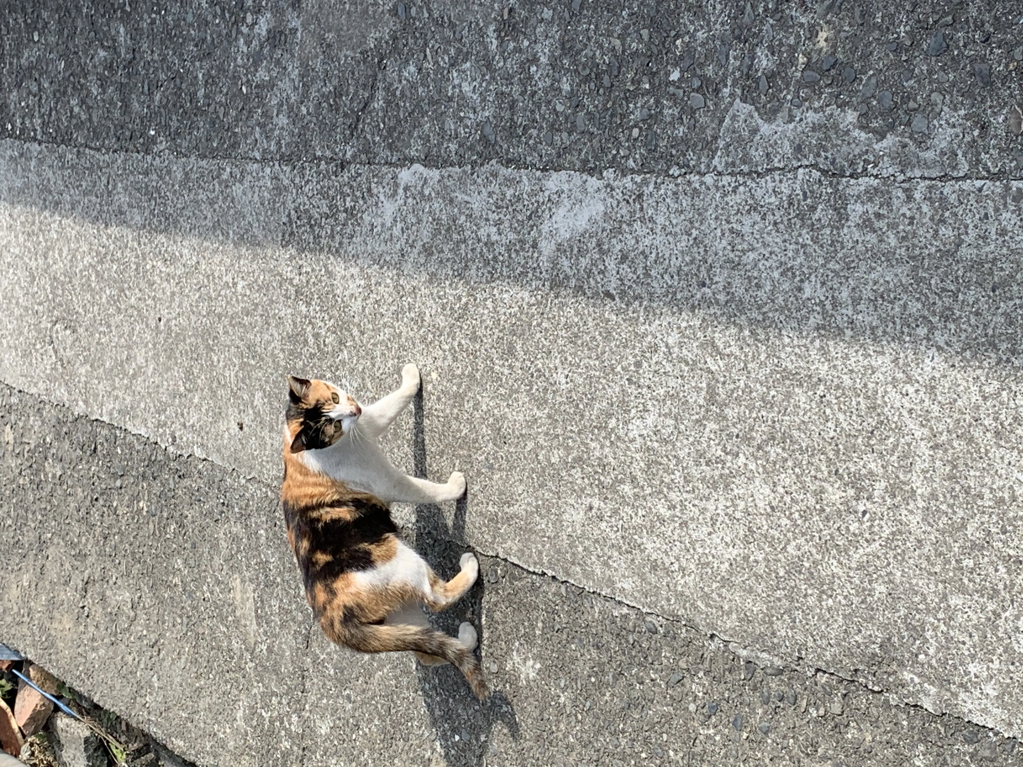 2026-04-08 09:43:47.867Z